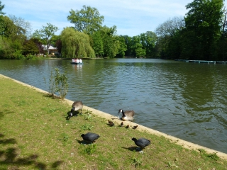 BOIS DE VINCENNES - LAC DAUMESNIL-region-parisienne