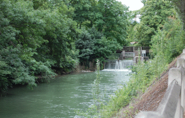 le long de la Marne -region-parisienne