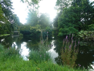 PARC DE LA VALLEE AUX LOUPS - LA BIEVRES - LA FORET DE VERRIERES-region-parisienne
