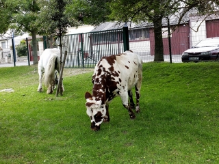 PARC DES SPORTS DE CHOISY-LE-ROI -region-parisienne