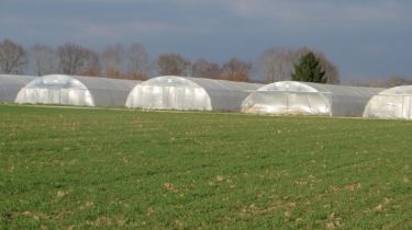 MANDRES LES ROSES - VILLAGES BRIARDS-region-parisienne