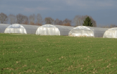 MANDRES LES ROSES - VILLAGES BRIARDS-region-parisienne