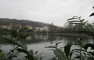 FORET DE FAUSSES REPOSES-region-parisienne