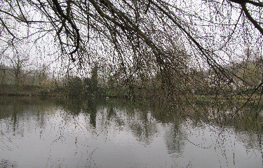 FORET DE FAUSSES REPOSES-region-parisienne