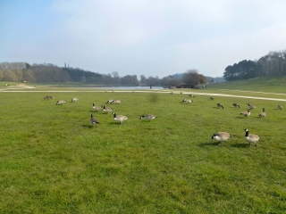 PARC DE LA COURNEUVE A LA BASILIQUE DE SAINT-DENIS-region-parisienne