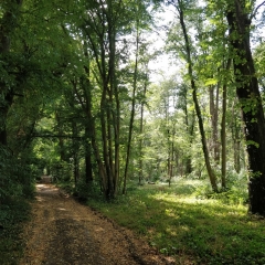 PLATEAU DU VEXIN-val-d-oise