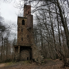 DE LA FORET D ECOUEN A LA FORET DE MONTMORENCY-val-d-oise