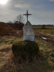 ALLEE COUVERTE DU BOIS-COUTURIER-val-d-oise