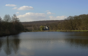 FORET DE MONTMORENCY (3)-val-d-oise