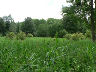 MAUDETOUR EN VEXIN-val-d-oise
