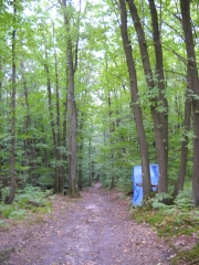 BOIS DE L HAUTIL-val-d-oise