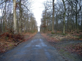 MASSIF DE CARNELLE-val-d-oise