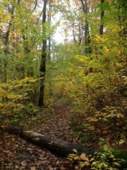 JOUY-LE-MOUTIER-val-d-oise