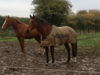 JOUY-LE-MOUTIER-val-d-oise