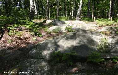 CHAMPAGNE-SUR-OISE (2)-val-d-oise