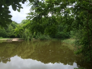 MONTLIGNON - FORET DE MONTMORENCY-val-d-oise