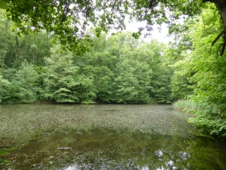MONTLIGNON - DOMAINE DE LA CHASSE-val-d-oise