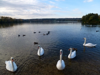 CERGY - DE ST-CHRISTOPHE A PREFECTURE-val-d-oise
