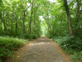 L ISLE-ADAM - ENTRE OISE ET FORET-val-d-oise