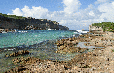 LE SENTIER DES DOUANIERS-guadeloupe