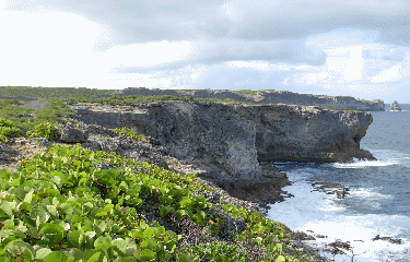 LE SENTIER DES DOUANIERS-guadeloupe
