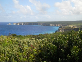 SENTIER DES PECHEURS-guadeloupe