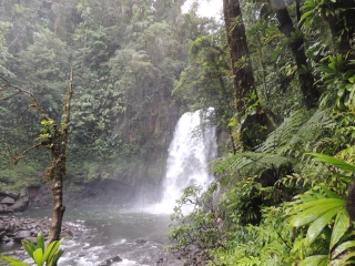 LA TROISIEME CHUTE DU CARBET-guadeloupe