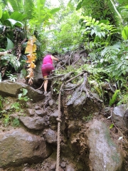 LA TROISIEME CHUTE DU CARBET-guadeloupe