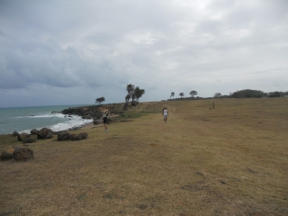 LE LITTORAL DE SAINTE ROSE-guadeloupe