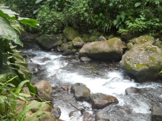 LES CHUTES DE MOREAU-guadeloupe