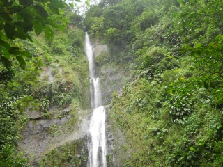 LES CHUTES DE MOREAU-guadeloupe