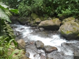 LES CHUTES DE MOREAU-guadeloupe