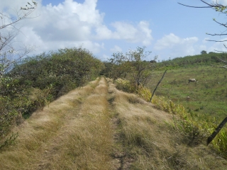 BEAUTIRANT-guadeloupe