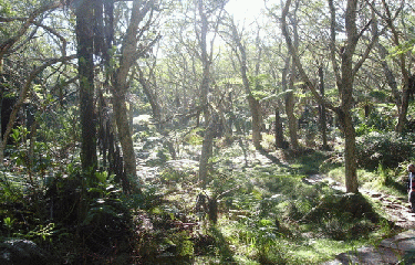 LA CHAPELLE-la-reunion