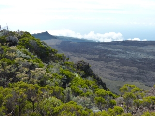 PITON PARTAGE ET NEZ COUPE DE SAINTE-ROSE -la-reunion