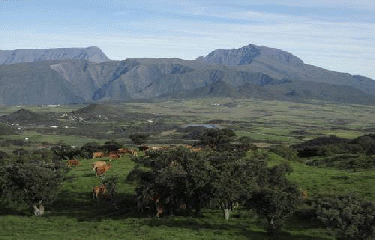 GRR2 - TRAVERSEE DE LA REUNION-la-reunion