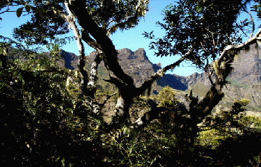 GRAND ILET - MAFATE-la-reunion