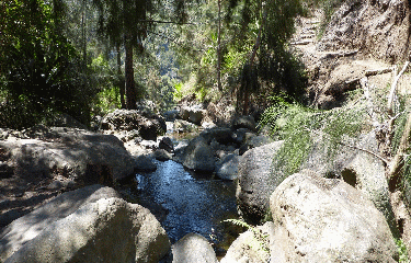 CILAOS - MARLA-la-reunion